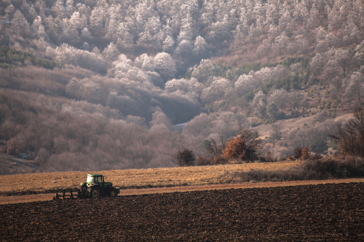 Оран през есента, село Дорково
