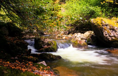 Река "Мътница", село Дорково
